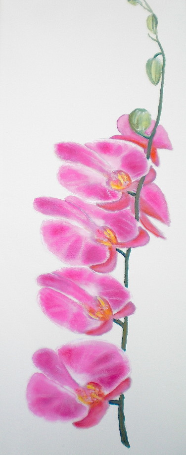 ../gallerij/gal/Acryl/ACR50.jpg