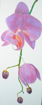 ../gallerij/gal/Acryl/_thb_ACR51.jpg