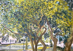 ../gallerij/gal/Aquarel/_thb_AQU36.jpg